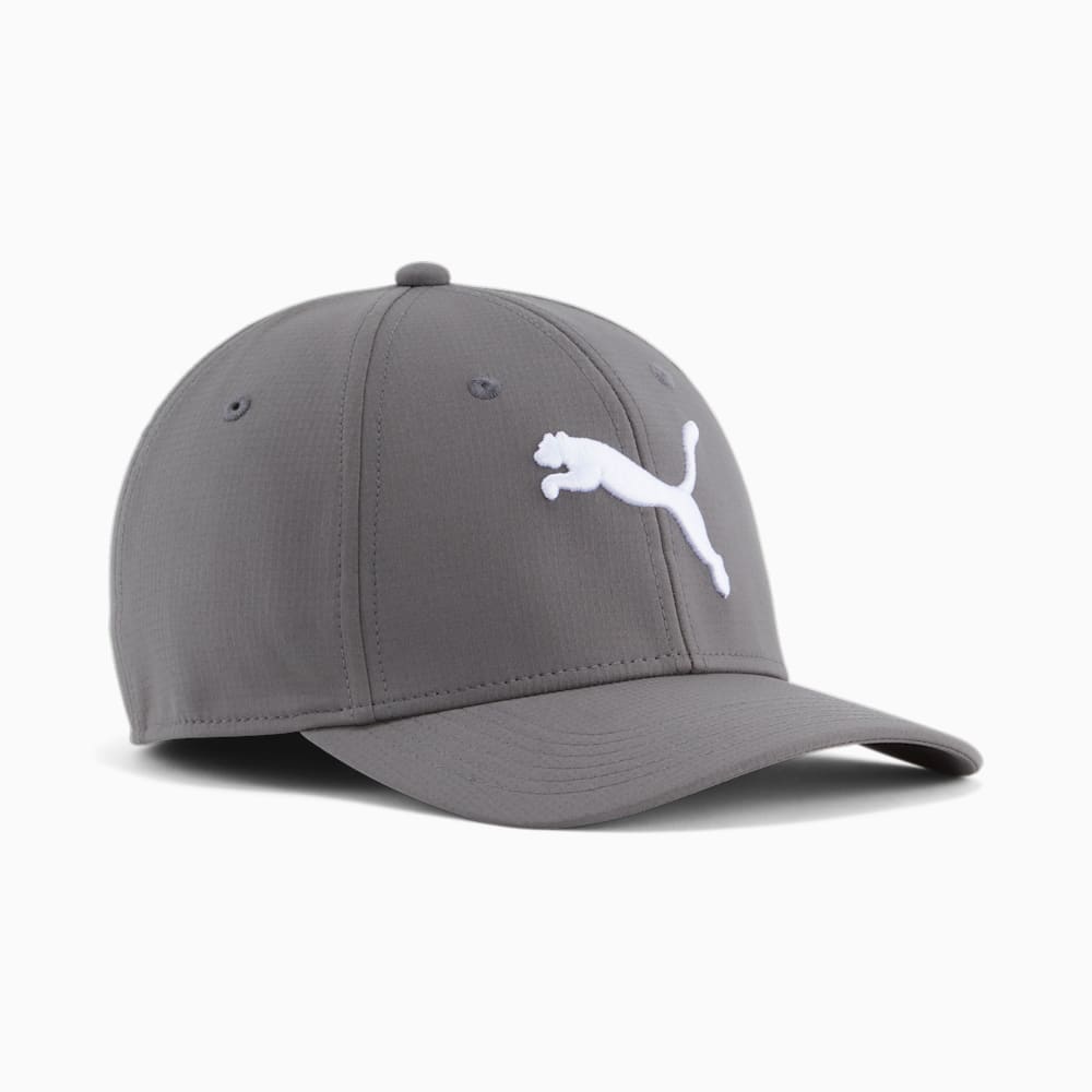 Puma Hemlock Stretch Fit Cap - DARK GREY