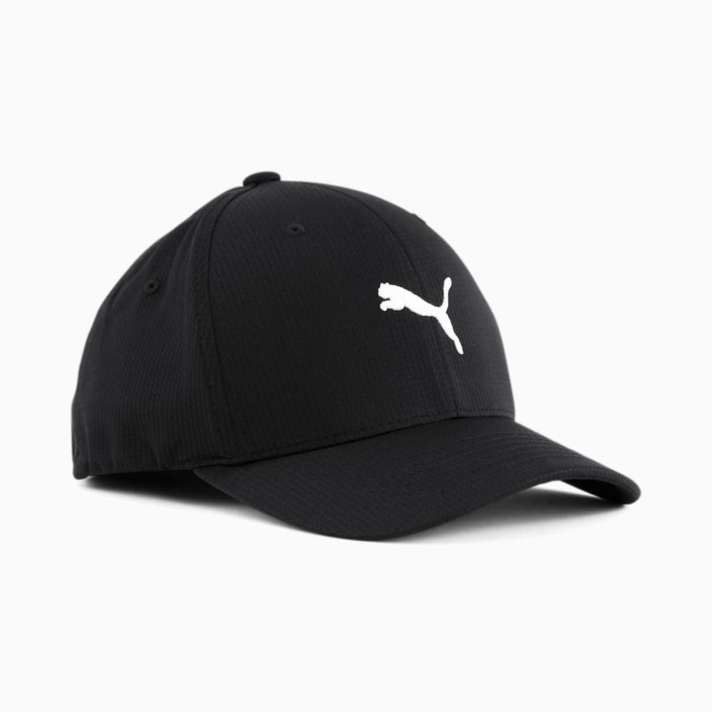 Puma Hudson Flexfit Cap - BLACK/WHITE